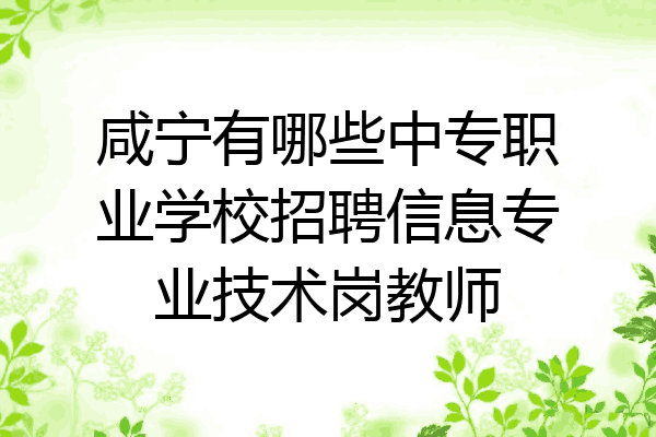 咸宁有哪些中专职业学校招聘信息专业技术岗教师