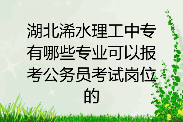 湖北浠水理工中专有哪些专业可以报考公务员考试岗位的