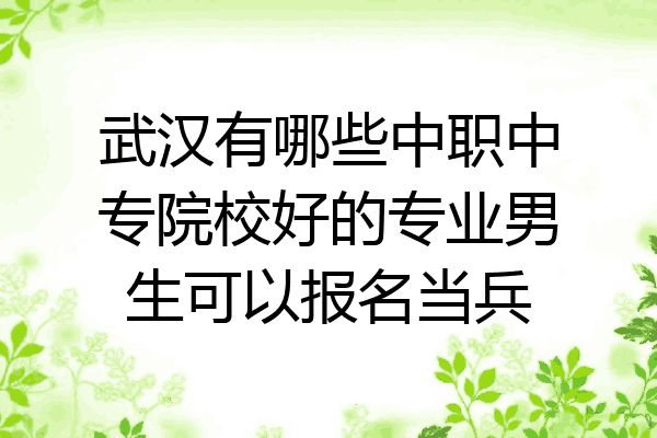 武汉有哪些中职中专院校好的专业男生可以报名当兵