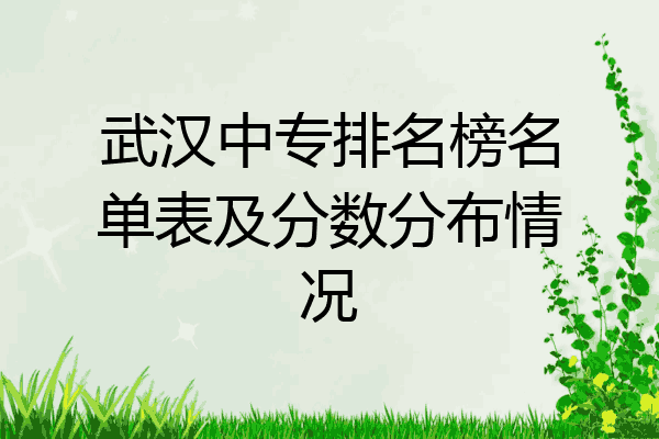 武汉中专排名榜名单表及分数分布情况