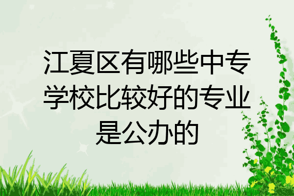 江夏区有哪些中专学校比较好的专业是公办的