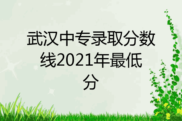 武汉中专录取分数线2021年最低分
