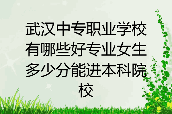 武汉中专职业学校有哪些好专业女生多少分能进本科院校