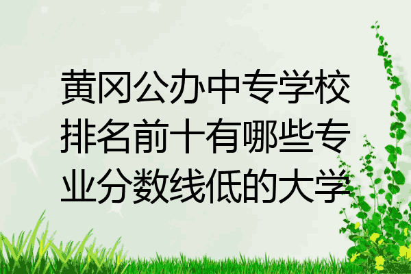 黄冈公办中专学校排名前十有哪些专业分数线低的大学