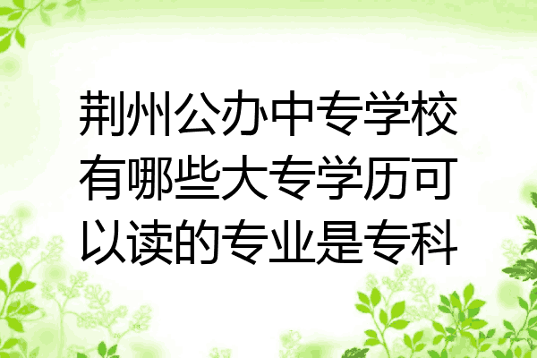 荆州公办中专学校有哪些大专学历可以读的专业是专科