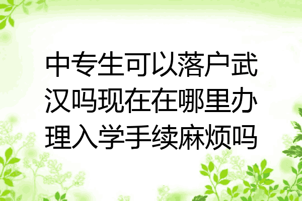 中专生可以落户武汉吗现在在哪里办理入学手续麻烦吗
