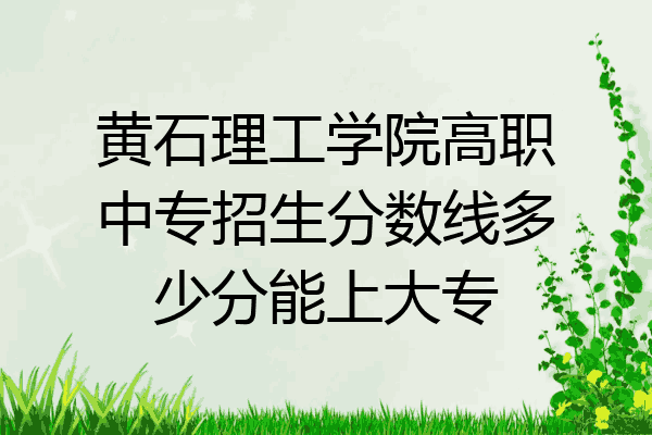 黄石理工学院高职中专招生分数线多少分能上大专