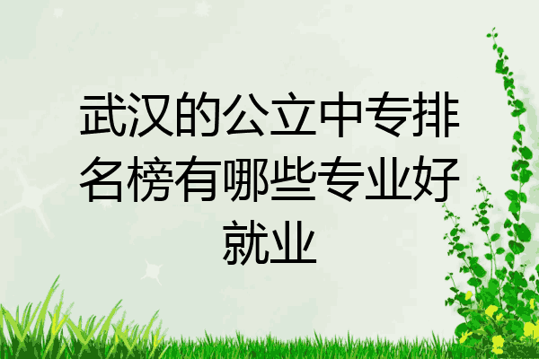 武汉的公立中专排名榜有哪些专业好就业