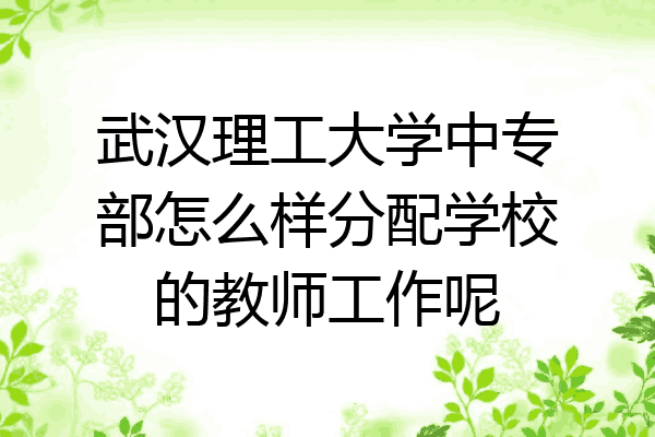 武汉理工大学中专部怎么样分配学校的教师工作呢