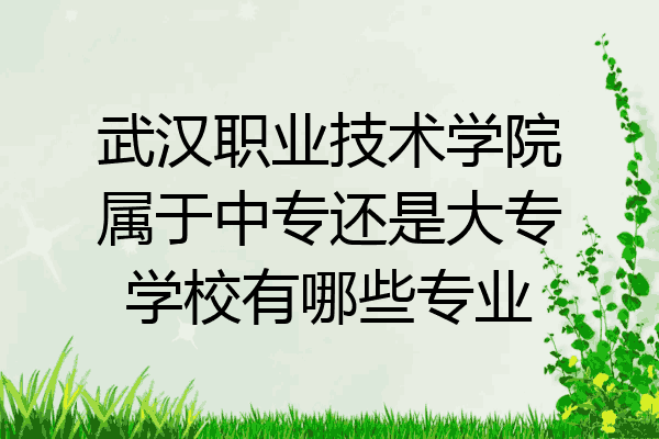 武汉职业技术学院属于中专还是大专学校有哪些专业