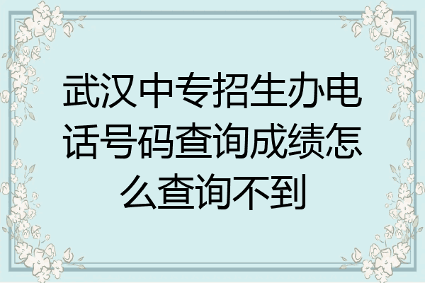 武汉中专招生办电话号码查询成绩怎么查询不到