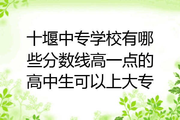 十堰中专学校有哪些分数线高一点的高中生可以上大专