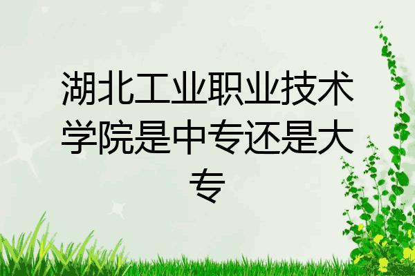 湖北工业职业技术学院是中专还是大专