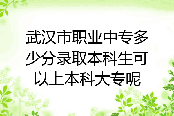 武汉市职业中专多少分录取本科生可以上本科大专呢