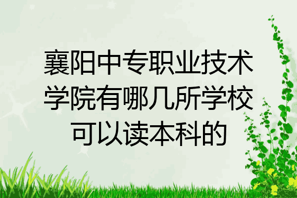 襄阳中专职业技术学院有哪几所学校可以读本科的