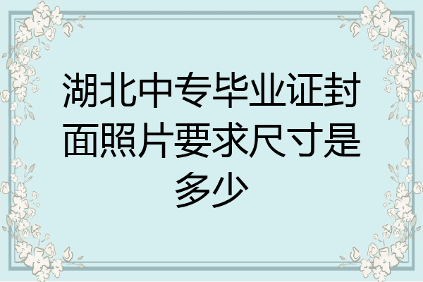 湖北中专毕业证封面照片要求尺寸是多少