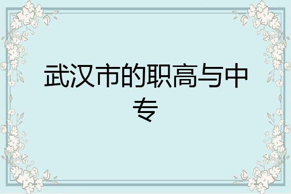 武汉市的职高与中专