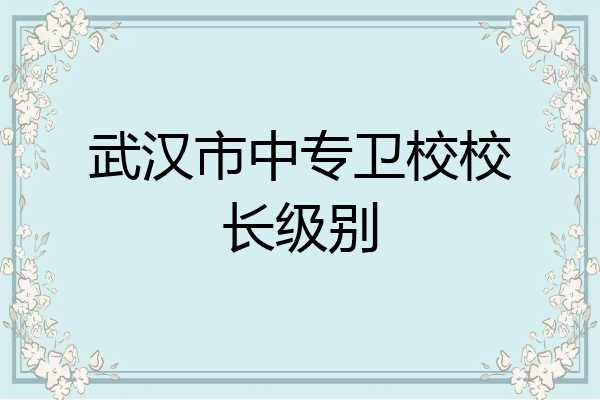 武汉市中专卫校校长级别