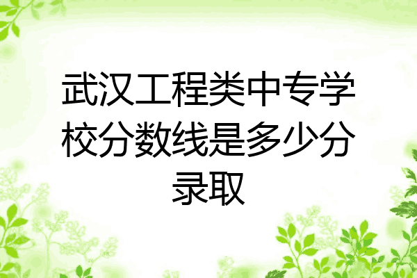 武汉工程类中专学校分数线是多少分录取