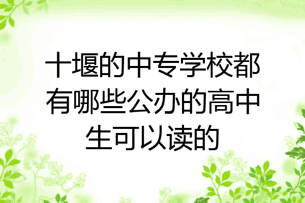 十堰的中专学校都有哪些公办的高中生可以读的