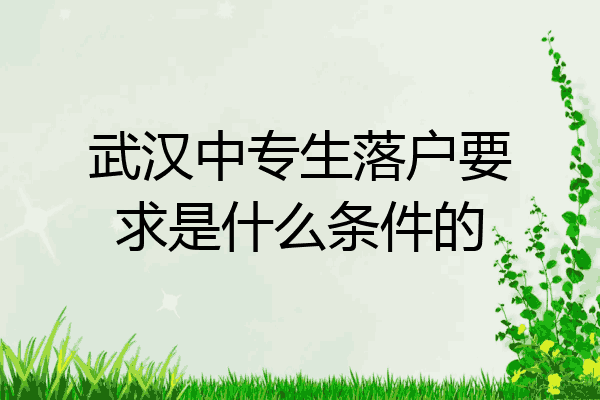 武汉中专生落户要求是什么条件的