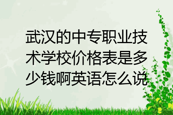 武汉的中专职业技术学校价格表是多少钱啊英语怎么说