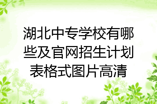 湖北中专学校有哪些及官网招生计划表格式图片高清