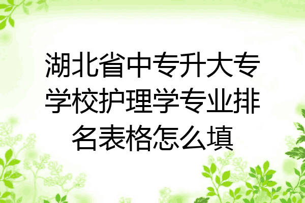 湖北省中专升大专学校护理学专业排名表格怎么填