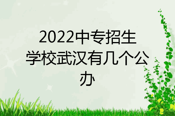 2022中专招生学校武汉有几个公办