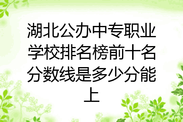 湖北公办中专职业学校排名榜前十名分数线是多少分能上