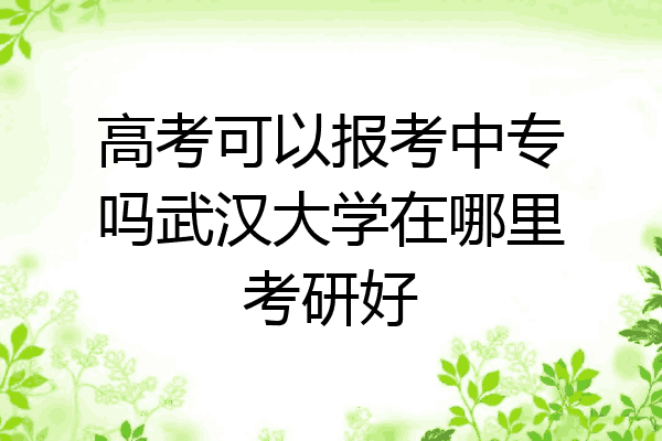 高考可以报考中专吗武汉大学在哪里考研好
