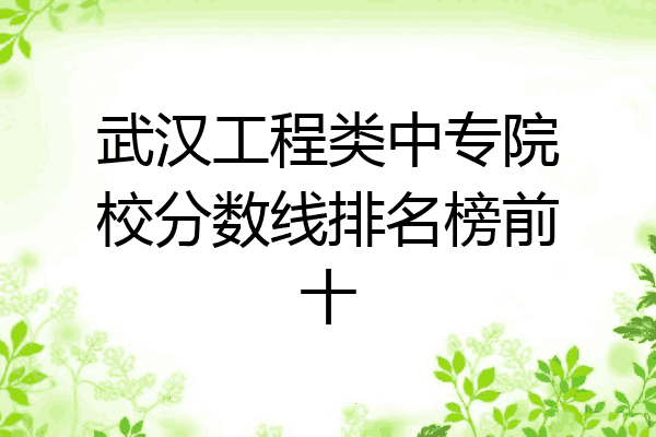 武汉工程类中专院校分数线排名榜前十