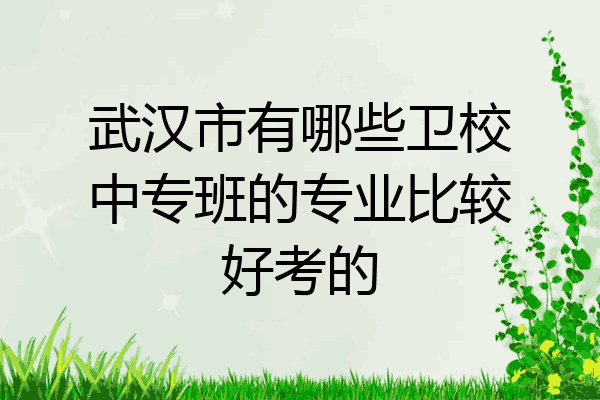 武汉市有哪些卫校中专班的专业比较好考的
