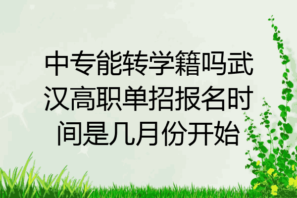 中专能转学籍吗武汉高职单招报名时间是几月份开始