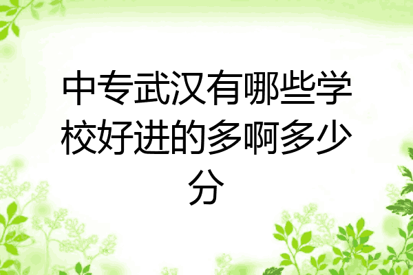 中专武汉有哪些学校好进的多啊多少分