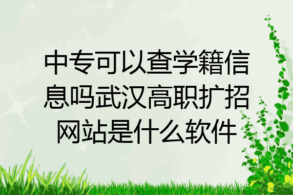 中专可以查学籍信息吗武汉高职扩招网站是什么软件