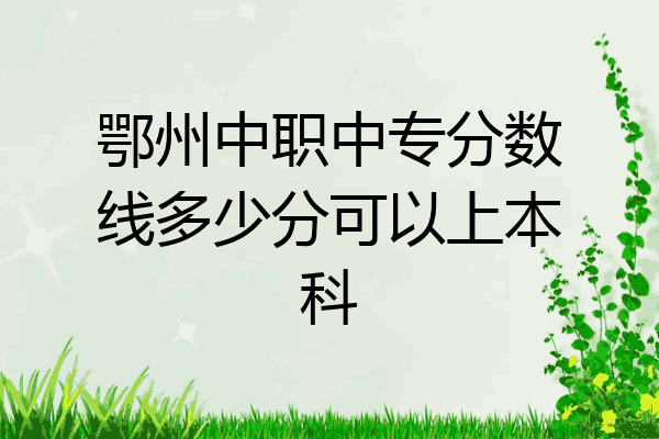 鄂州中职中专分数线多少分可以上本科