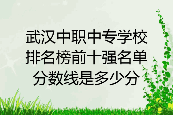 武汉中职中专学校排名榜前十强名单分数线是多少分