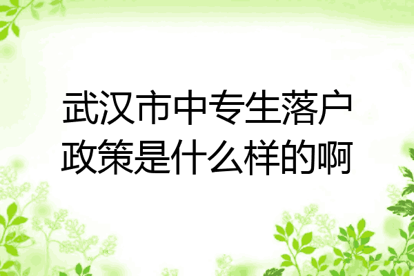 武汉市中专生落户政策是什么样的啊