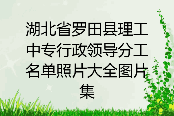 湖北省罗田县理工中专行政领导分工名单照片大全图片集