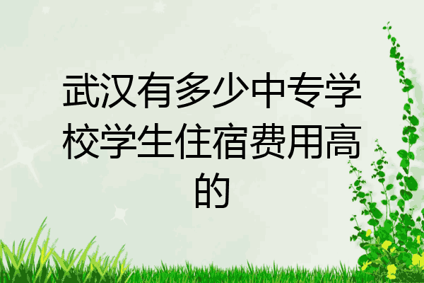 武汉有多少中专学校学生住宿费用高的