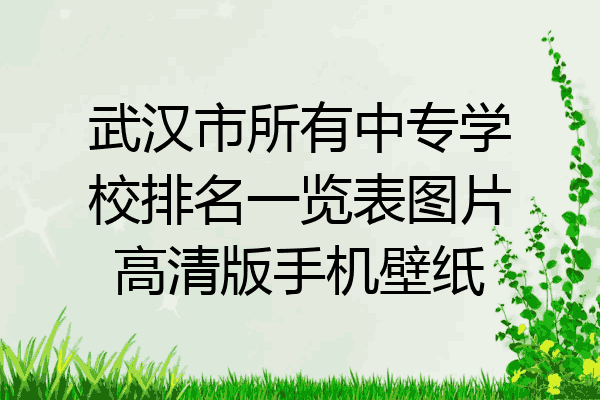 武汉市所有中专学校排名一览表图片高清版手机壁纸