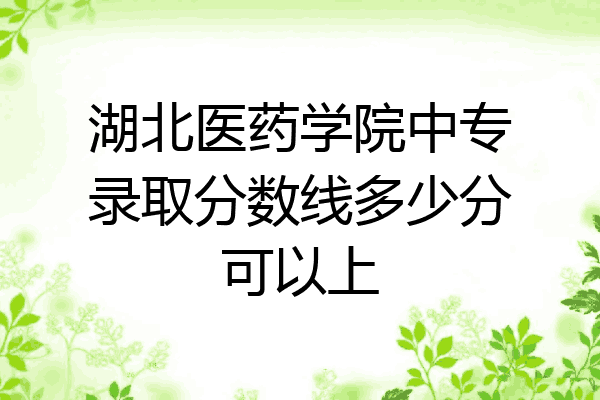 湖北医药学院中专录取分数线多少分可以上