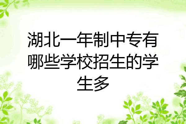 湖北一年制中专有哪些学校招生的学生多