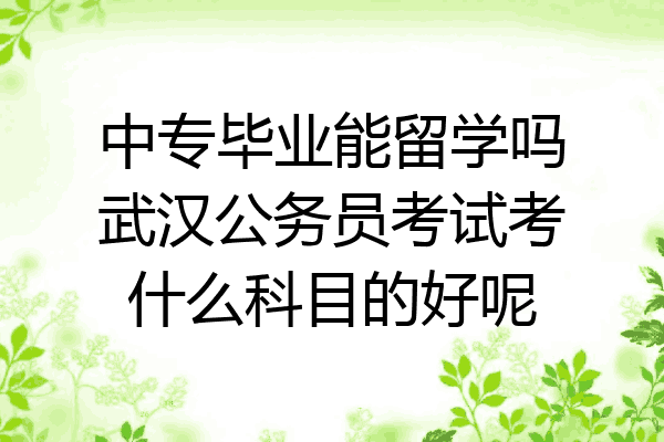 中专毕业能留学吗武汉公务员考试考什么科目的好呢