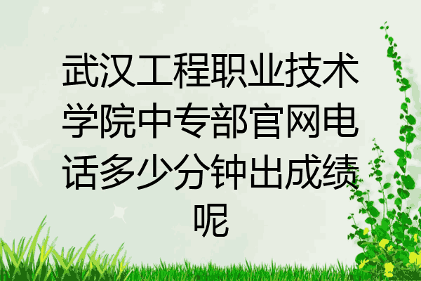 武汉工程职业技术学院中专部官网电话多少分钟出成绩呢