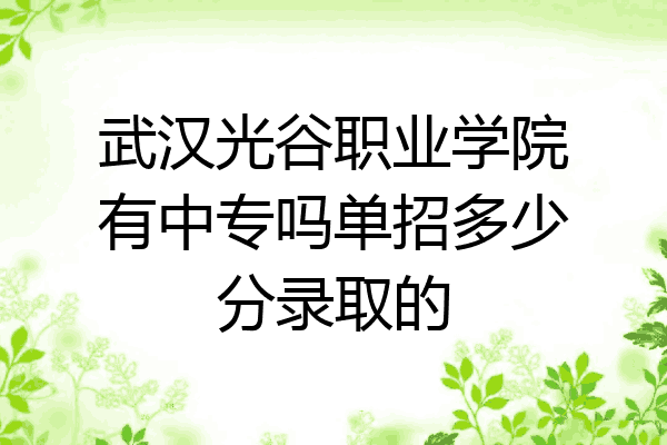 武汉光谷职业学院有中专吗单招多少分录取的