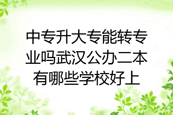 中专升大专能转专业吗武汉公办二本有哪些学校好上