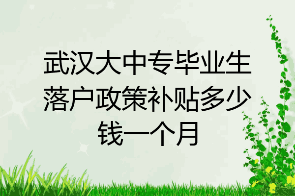 武汉大中专毕业生落户政策补贴多少钱一个月