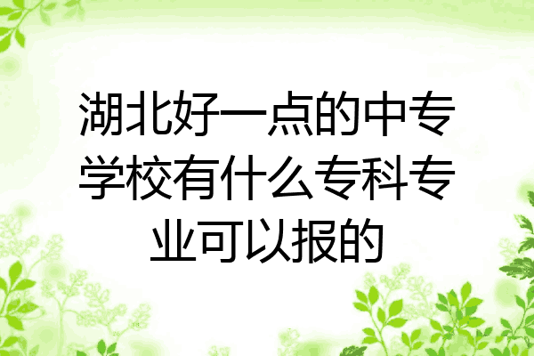 湖北好一点的中专学校有什么专科专业可以报的